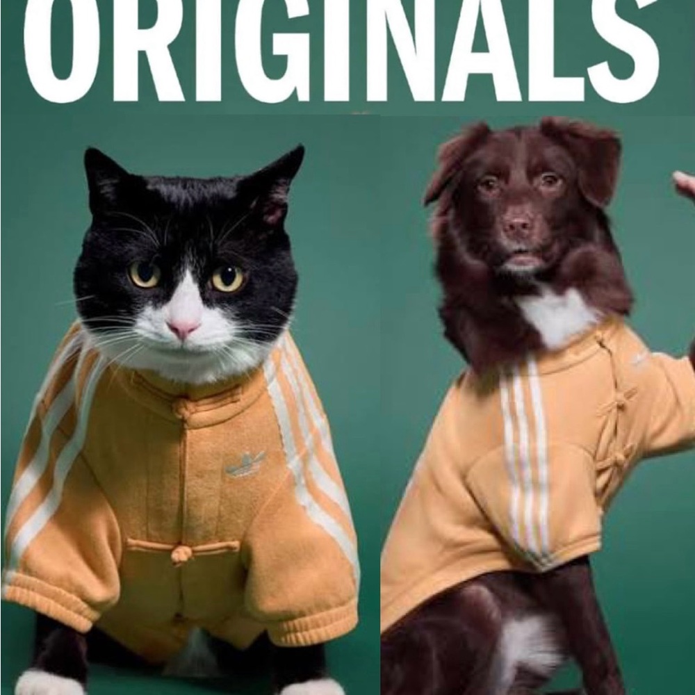 Adidas Chinese New Year - Lunar New Year Dog or Cat Jacket. Medium - Picture 3 of 7